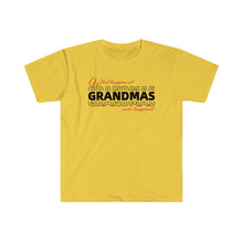 Load image into Gallery viewer, What Happens At Grandmas Never Happened Unisex Softstyle T-Shirt
