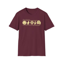 Load image into Gallery viewer, Playa Encanto 5 Shells Jersey Short Sleeve Tee
