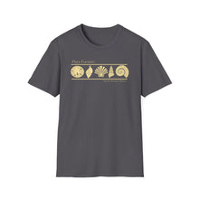 Load image into Gallery viewer, Playa Encanto 5 Shells Jersey Short Sleeve Tee
