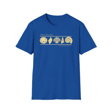 Load image into Gallery viewer, Playa Encanto 5 Shells Jersey Short Sleeve Tee
