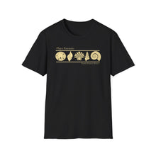 Load image into Gallery viewer, Playa Encanto 5 Shells Jersey Short Sleeve Tee
