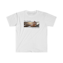 Load image into Gallery viewer, Playa Encanto Sunset Shell Jersey Short Sleeve Tee
