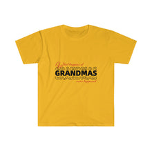 Load image into Gallery viewer, What Happens At Grandmas Never Happened Unisex Softstyle T-Shirt
