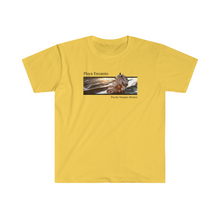 Load image into Gallery viewer, Playa Encanto Sunset Shell Jersey Short Sleeve Tee
