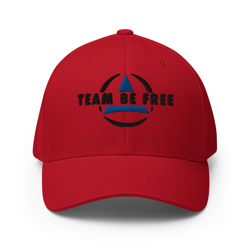 Team Be Free Flex Fit Structured Twill Cap